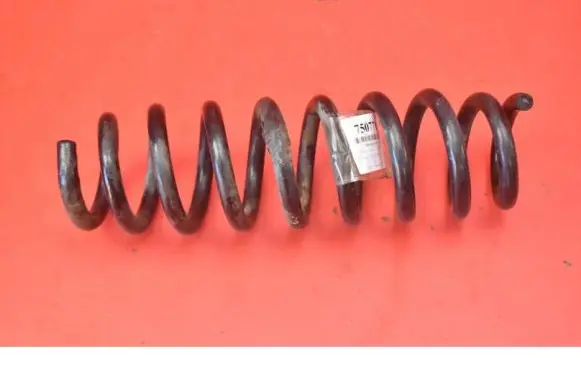 BMW X3 E83 Rear coil spring