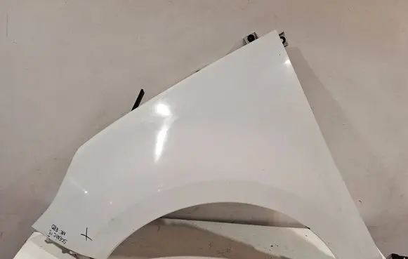 Fender