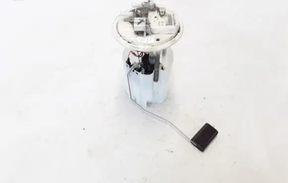 Renault Megane III Fuel level sensor 17202614R