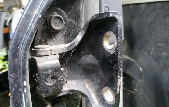 Rear door lower hinge