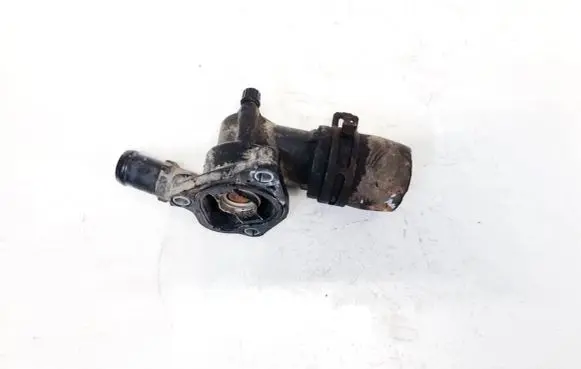 Renault Twingo II Engine coolant pipe/hose v700889c
