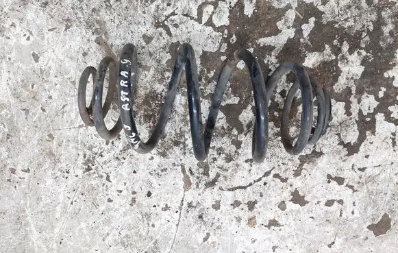 Opel Astra G Rear coil spring 