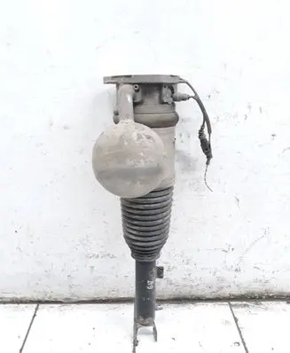 Volkswagen Phaeton Shock absorber/damper/air suspension 3D0616001F