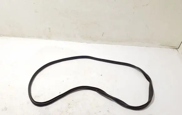 Renault 5 E-Tech Front door rubber seal 769216924R