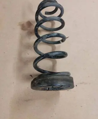 Rear coil spring