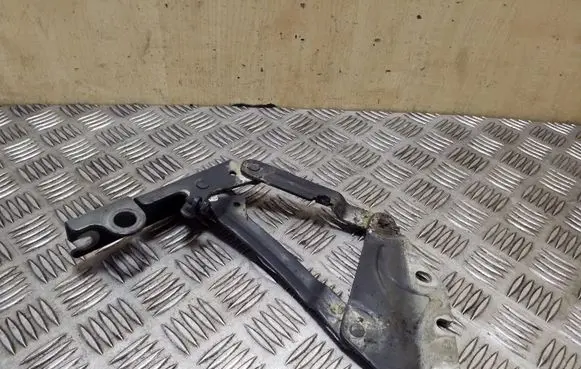 Volkswagen Golf Plus Engine bonnet/hood hinges 5M0823301