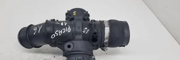 Citroen Xsara Picasso Throttle valve 25365223