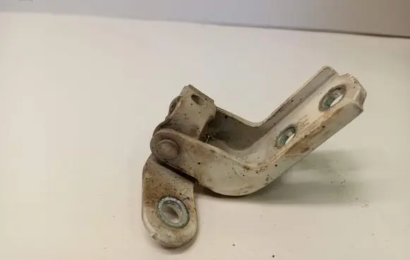 Hyundai Santa Fe Front door lower hinge 