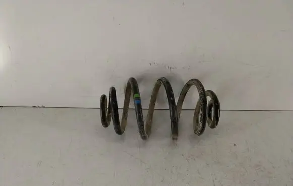 Rear coil spring