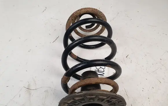 Rear coil spring