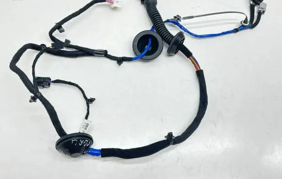 KIA EV6 Rear door wiring loom 91620CV280a 919823S000