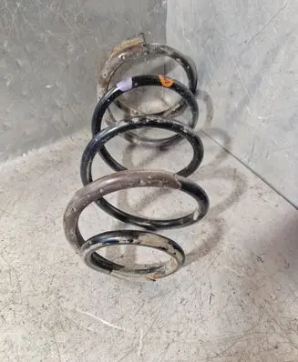Front coil spring