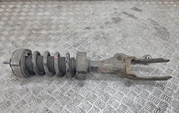 Volkswagen Touareg II Front shock absorber/damper 
