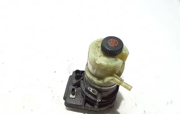 Renault Trafic III (X82) Electric power steering pump 491108485R