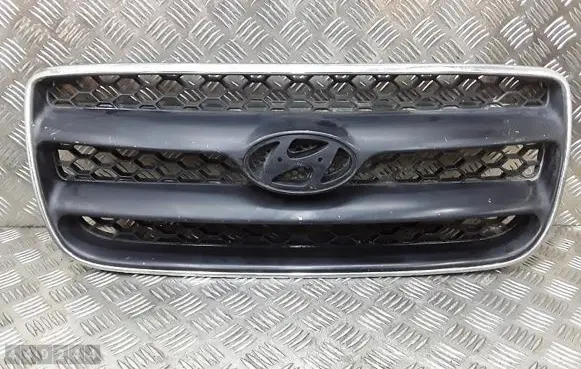 Hyundai Santa Fe Front grill E865612B010