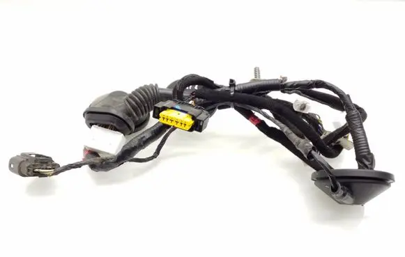Hyundai i40 Rear door wiring loom 916503Z070
