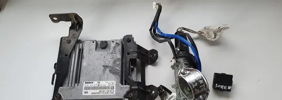 KIA Sorento Engine control unit/module 391012F010 954202L700