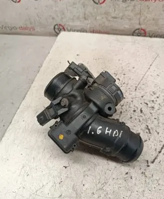 Citroen C4 I Picasso Throttle valve 9660030480 25365285