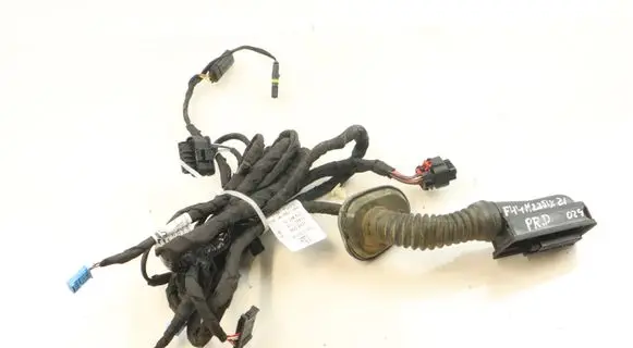 BMW 2 F44 Front door wiring loom 8727944 8727960 27022019