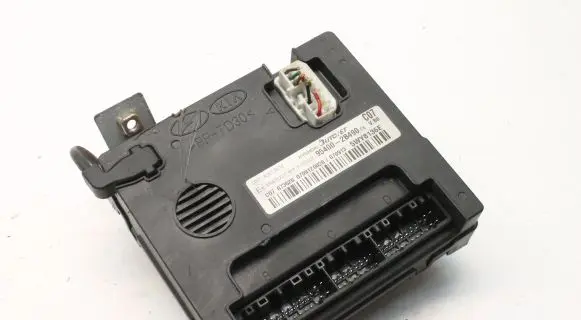 Hyundai Santa Fe Other devices 954002B490