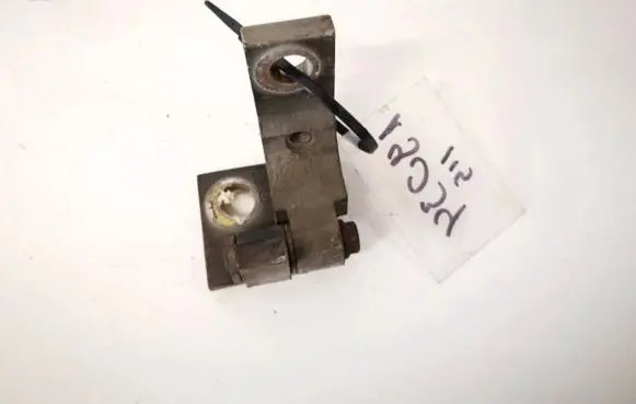 Fiat Punto (188) Rear door lower hinge