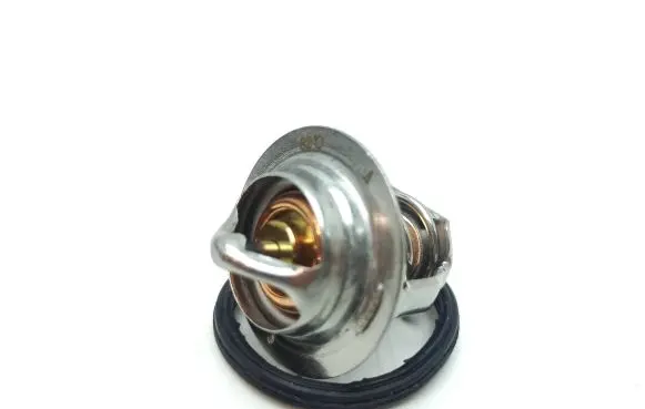 Aixam Roadline Thermostat 1532173014