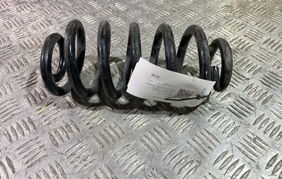Buick Encore I Rear coil spring