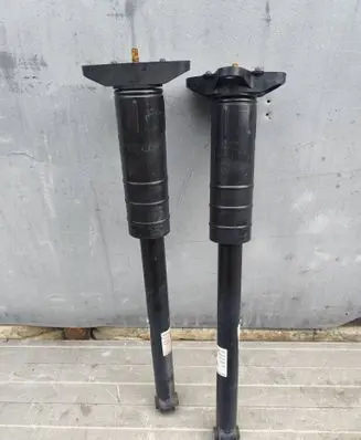 Alfa Romeo Stelvio Rear shock absorber/damper 50559657