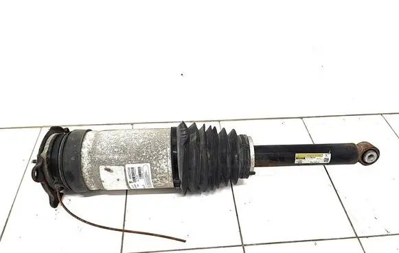 Tesla Model S Rear shock absorber/damper 106746125C