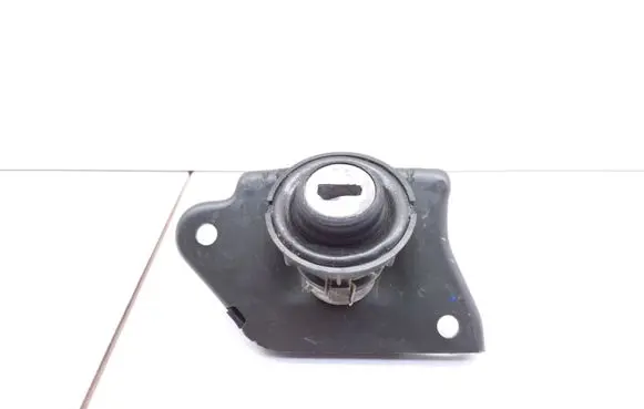 Fiat Punto (176) Tailgate/trunk/boot lock/catch/latch