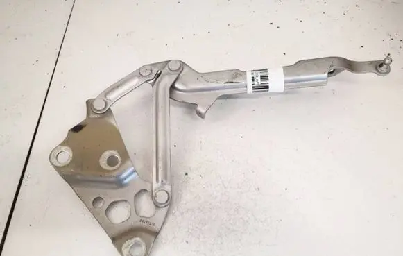 Cadillac ATS Engine bonnet/hood hinges 22868253