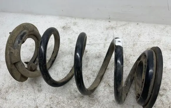 Rear coil spring