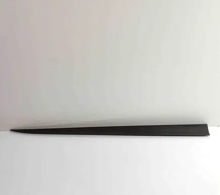 Audi E-tron GT Front door trim (molding) 4J3853960A