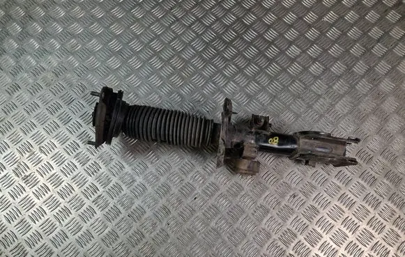 Hyundai Santa Fe Front shock absorber/damper 54651S1BB0