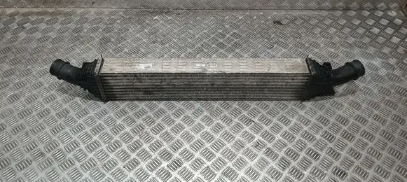 Intercooler radiator