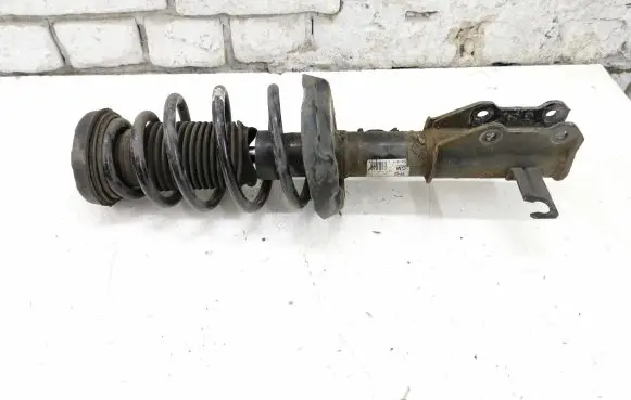 Opel Insignia A Front shock absorber with coil spring 13245976 E4612101 67327926