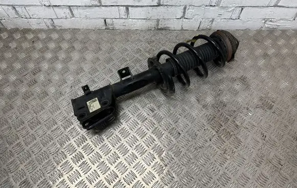 Chrysler Pacifica Front shock absorber with coil spring P68248727AD