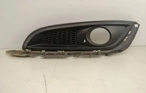 Front fog light trim/grill