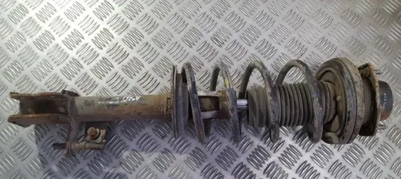 Chevrolet Lacetti Rear coil spring