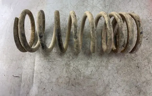 Land Rover Discovery Rear coil spring