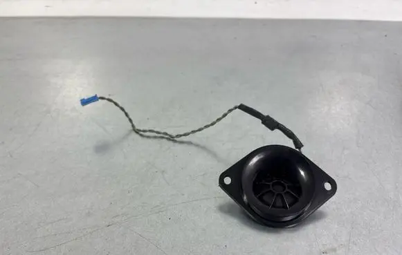 BMW 5 F10 F11 Headliner speaker 9907009801