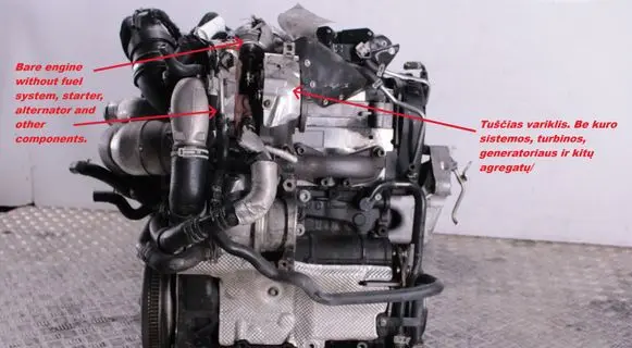 Volkswagen PASSAT B8 Engine DFC
