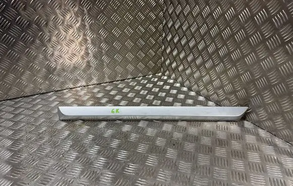 Volkswagen Passat Alltrack Rear door trim (molding) 3AF854949