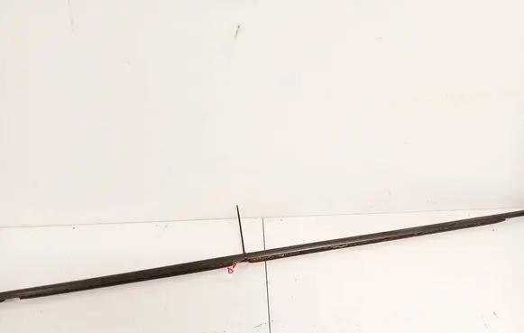 Renault Scenic II - Grand scenic II Front door glass trim molding 