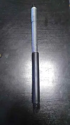 Tailgate strut