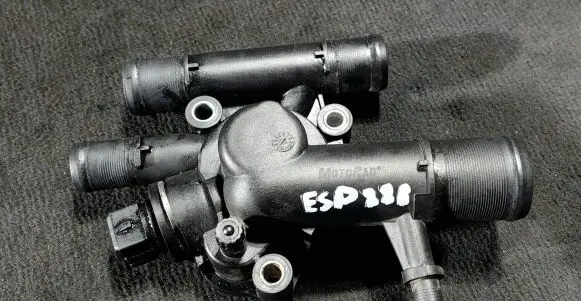 Thermostat/thermostat housing