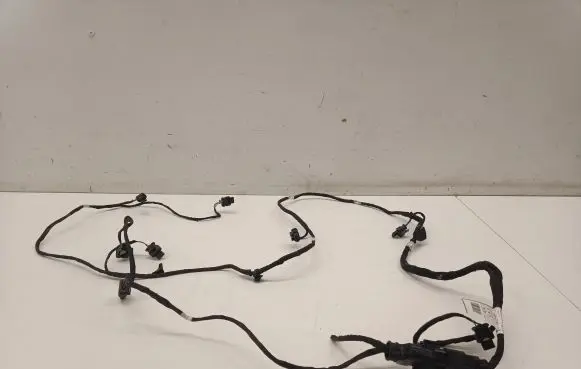BMW iX Parking sensor (PDC) wiring loom 5A53181 759035605