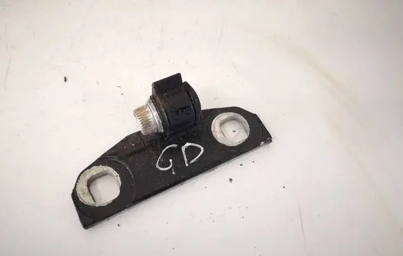 Volvo V70 Rear door lower hinge 