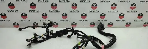 Tesla Model 3 Other wiring loom 206876700B 21248AL268