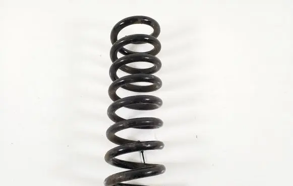 Rear coil spring
